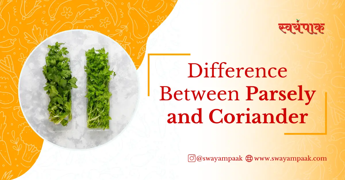Difference Between Parsley and Coriander