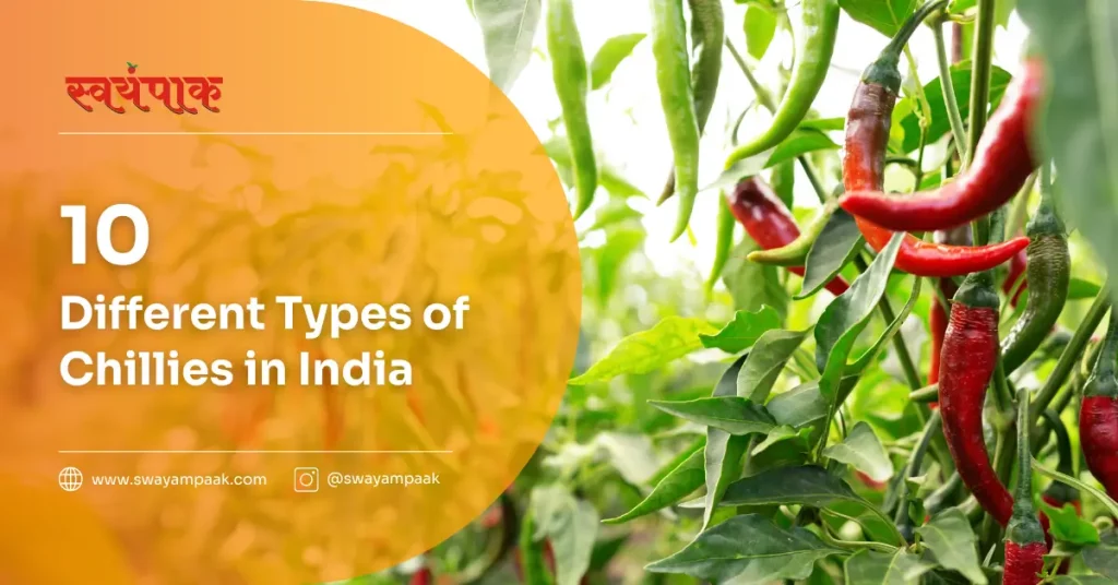 types of chillies in India