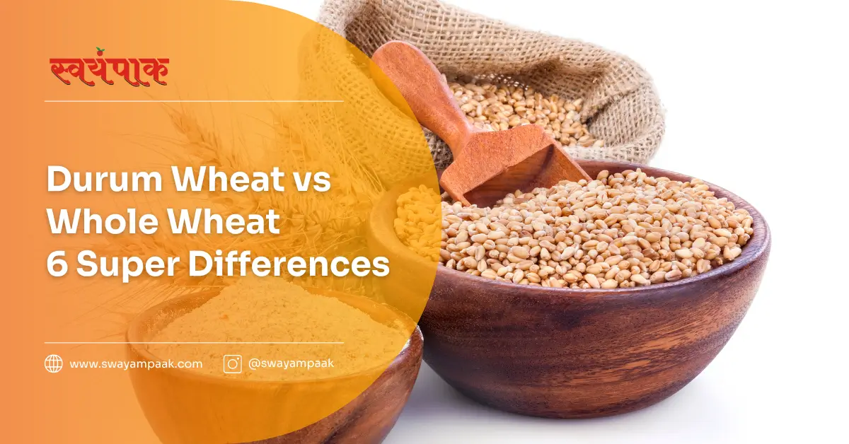 Durum Wheat vs Whole Wheat | 6 Super Differences