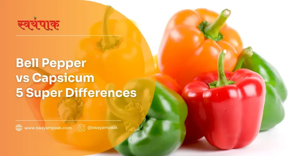 bell pepper vs capsicum