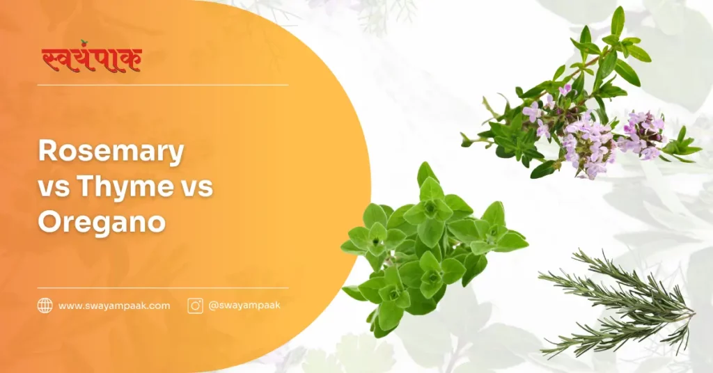 Rosemary vs Thyme vs Oregano