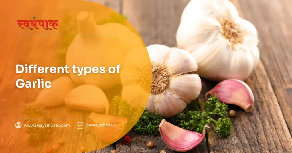 Discover the different types of garlic varieties