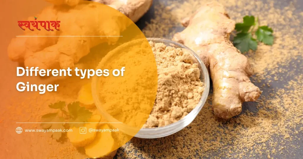 Different types of ginger