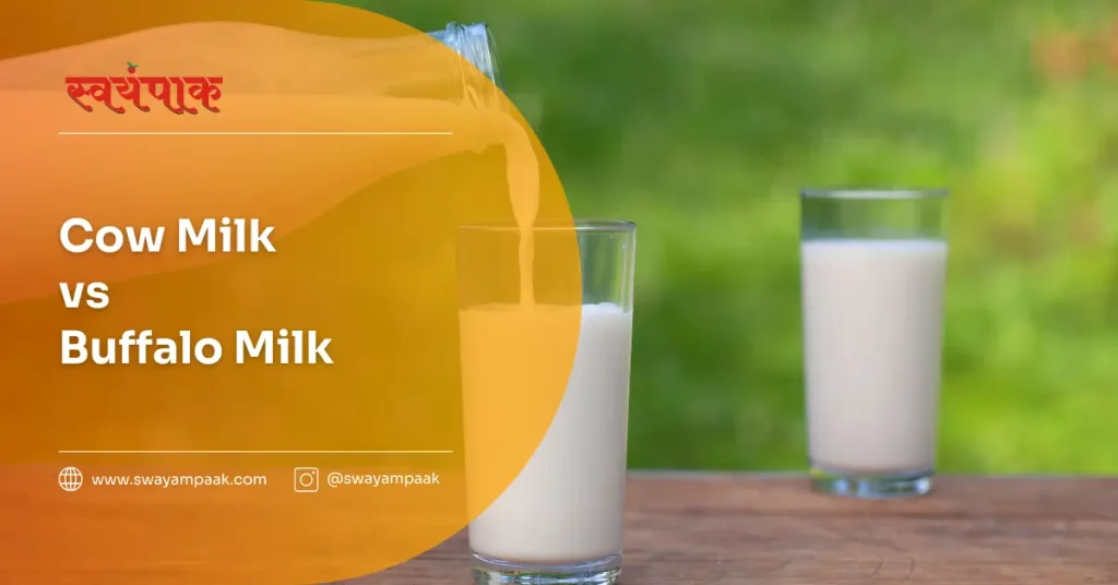 Cow Milk vs Buffalo Milk