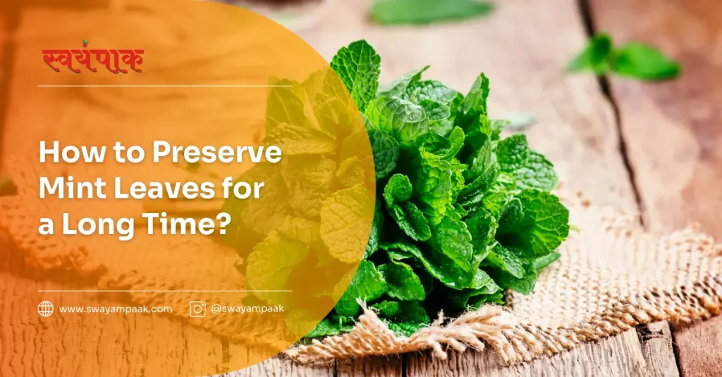 How to preserve Mint Leaves for a long time?