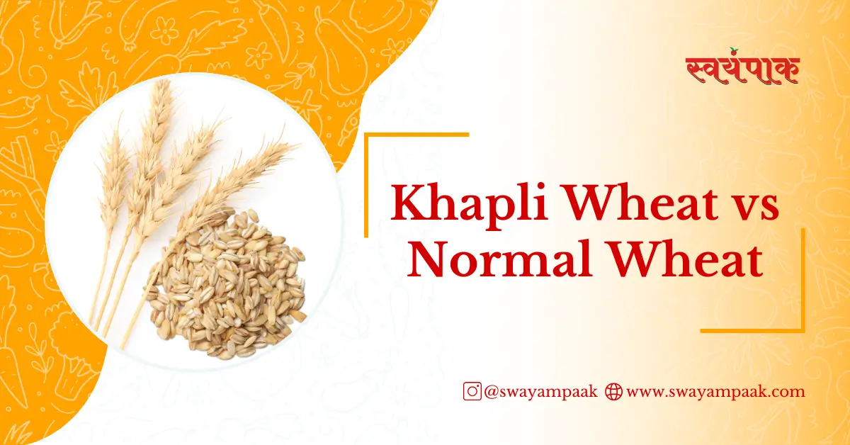 Khapli Wheat vs Normal Wheat