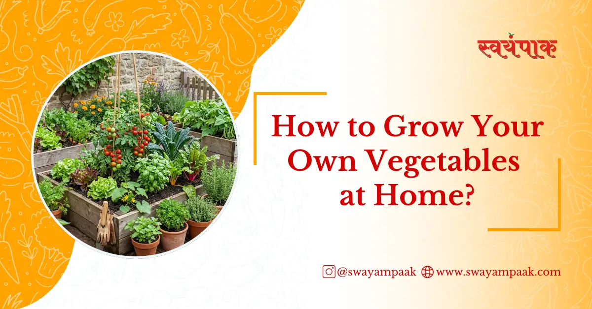 How to Grow Your Own Vegetables at home?